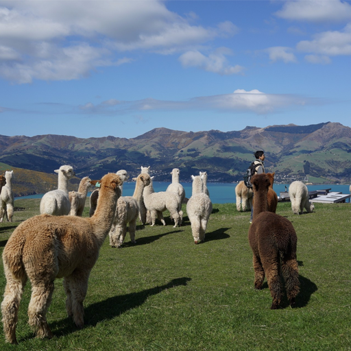 小程序,企業移動辦公,OA,網站建設,連云港網站,連云港網站開發，系統開發，微信開發，微信公眾號，微信企業號，微信訂閱號，微信服務號開發,微教育